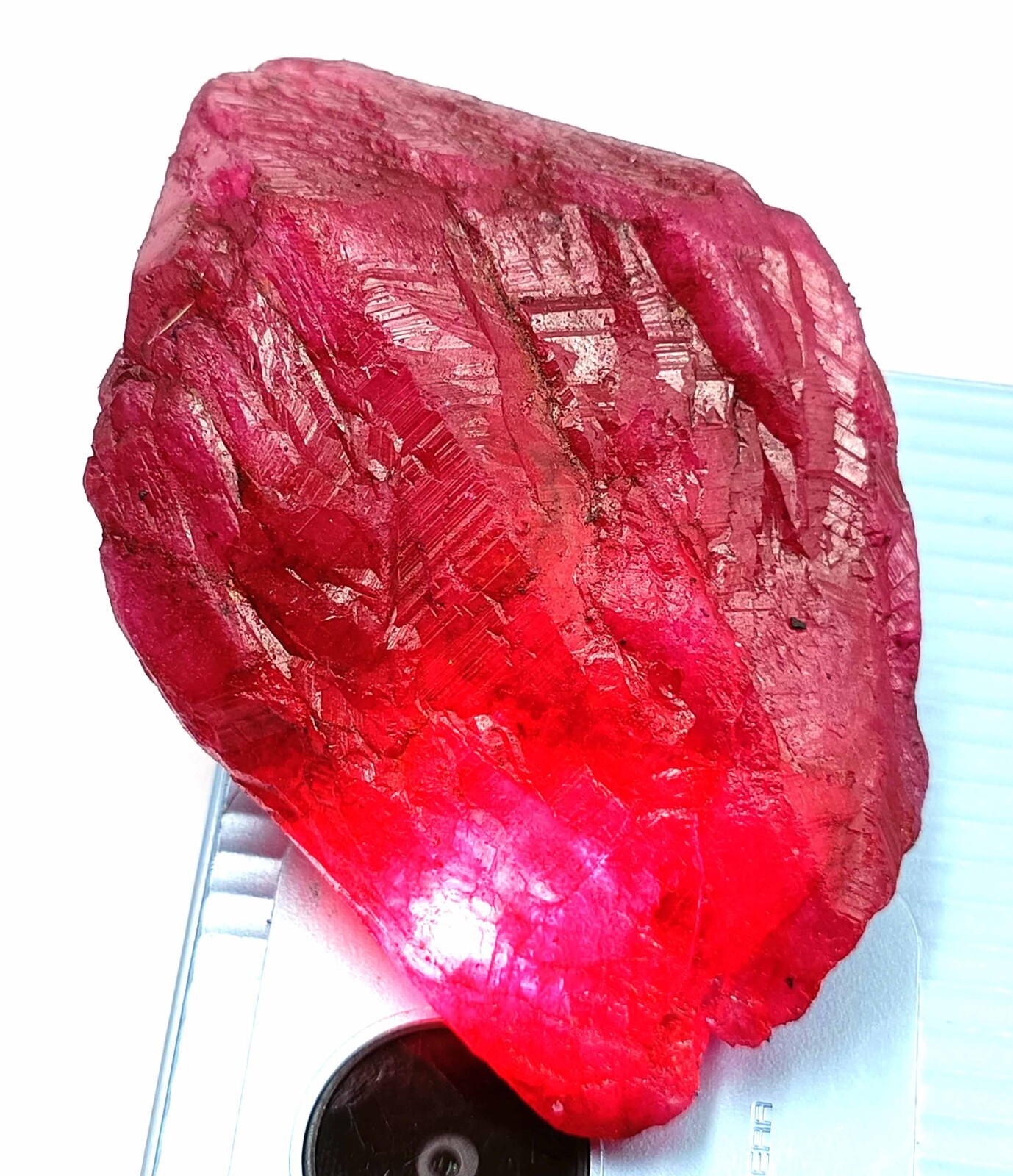 DYED 482 CARAT NATURAL RED RUBY EGL CERTIFIED UNCUT ROUGH TRANSLUCENT GEMSTONE