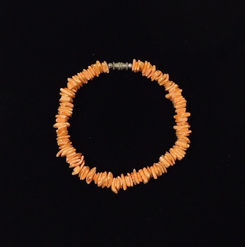 Shell Bracelet Barrel Clasp 10 in Beautiful