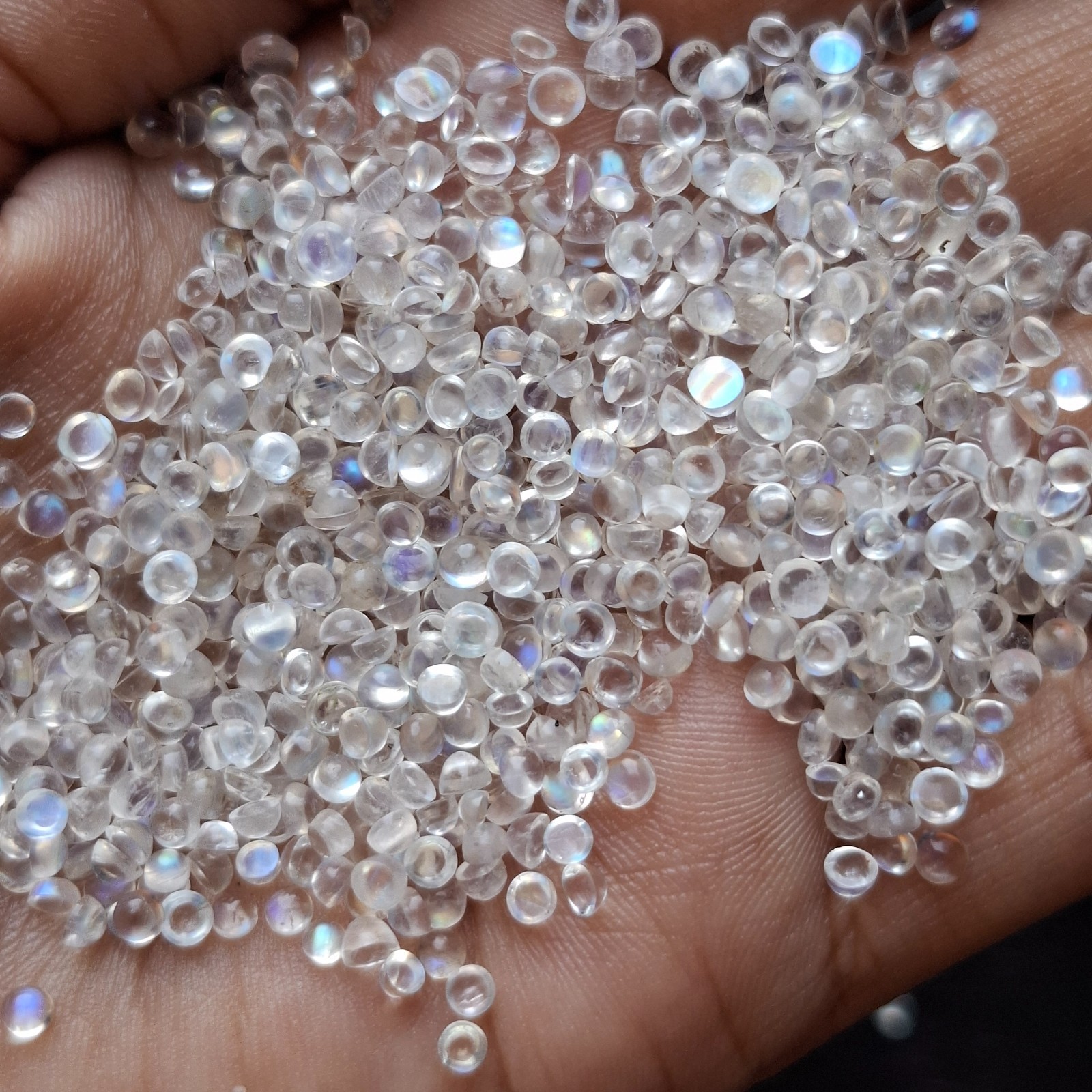 5 Pcs Natural Rainbow Moonstone Round Cabochon 2.5mm Approx AMJ2320