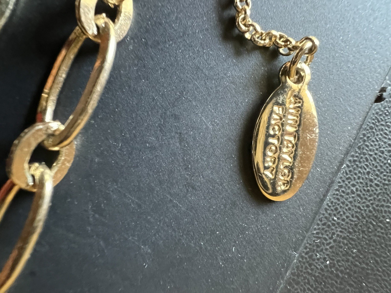 Ann Taylor Factory Long Golden Necklace