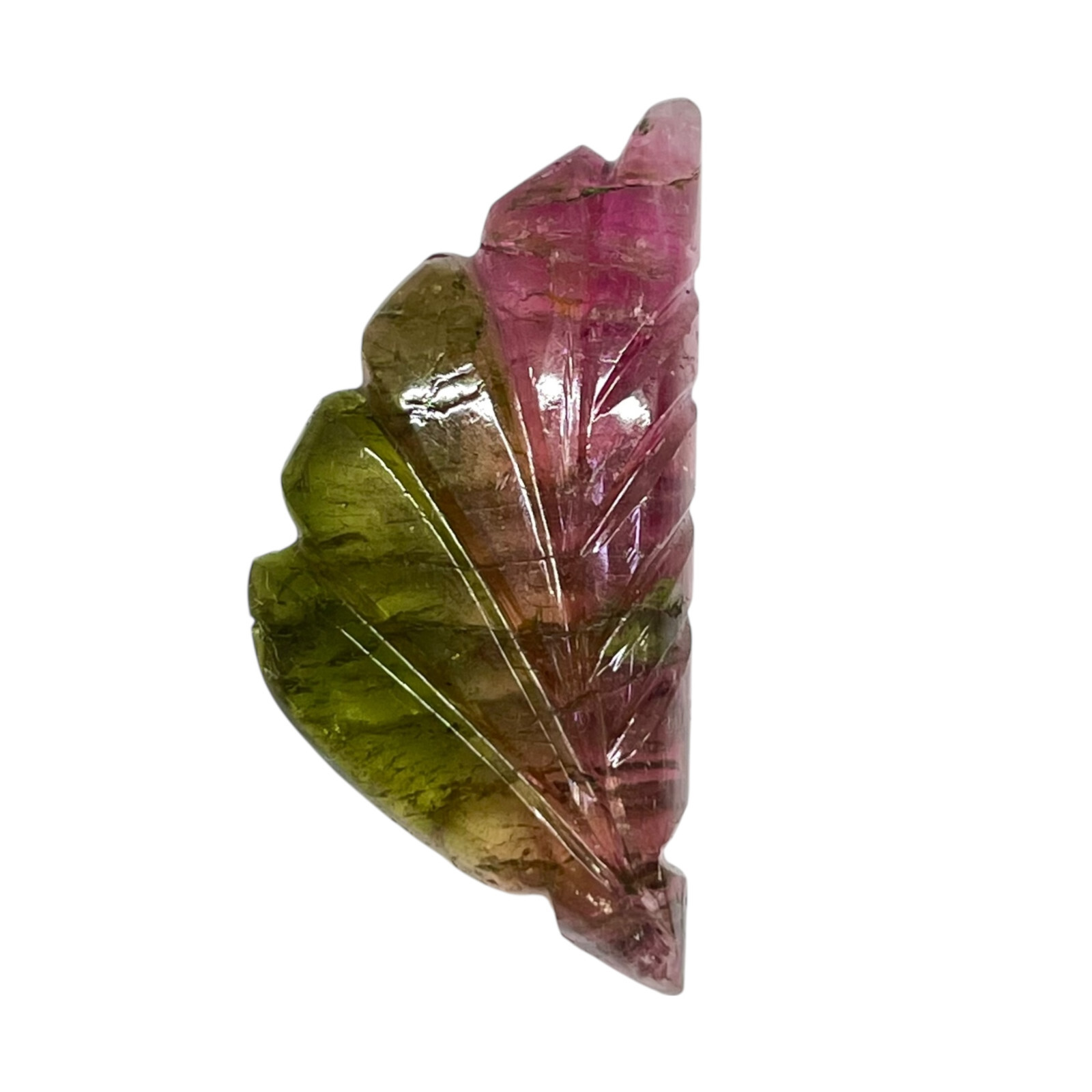 15.2 Cts Bi-Color Carved Natural Tourmaline Leaf Gemstone Pink Green for Jewelry