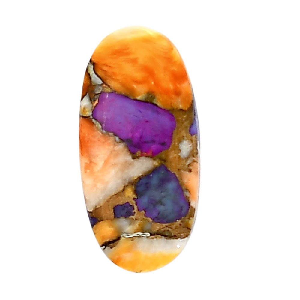 Spiny Oyster Turquoise 12.1×24.7×3.5 mm Oval Shape Polished Gemstone LS87-05365