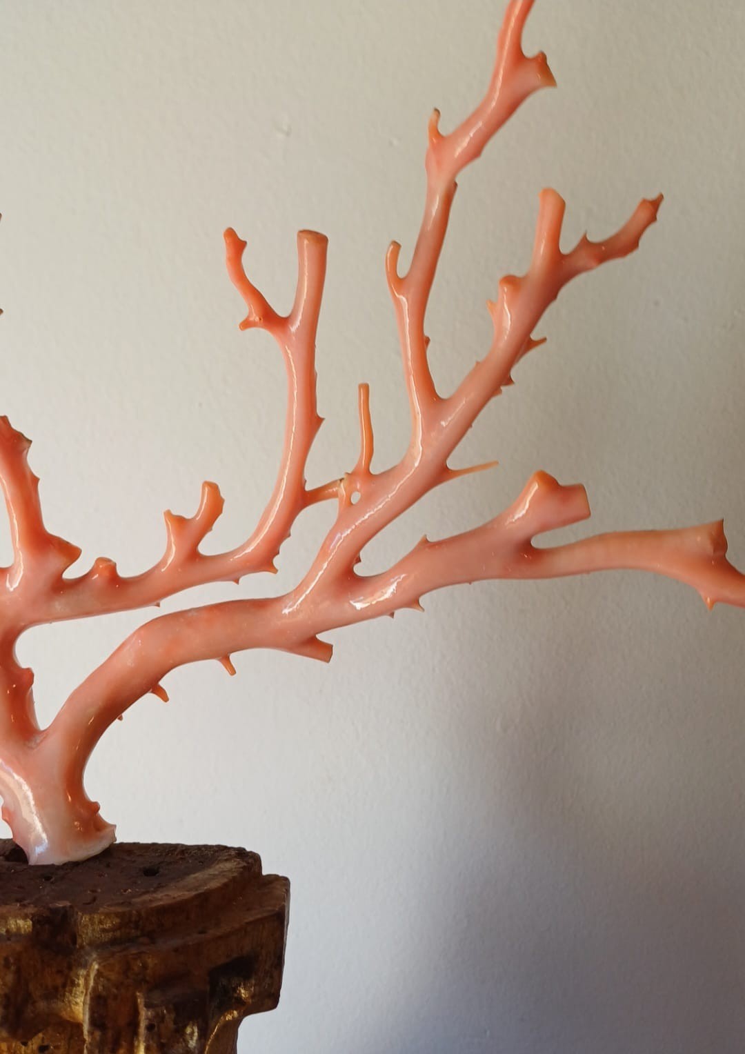 ANTIQUE CORAL BRANCH WITH GILDED WOODEN BASE