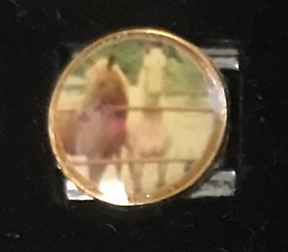 Horses Italian Charm Enamel Link 9MM K47