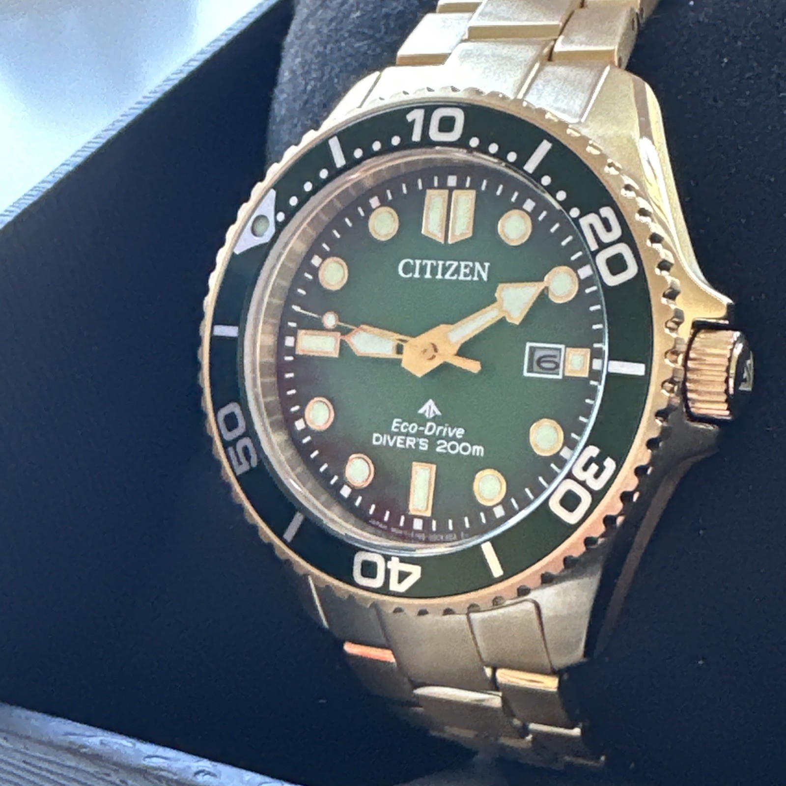 Citizen ProMaster Dive Timepiece Green Dial Gold Stainless Mens Watch BN0262-59W