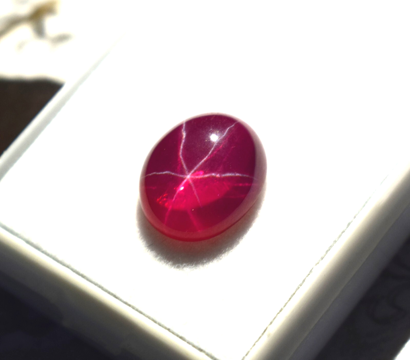 Certified Oval Cabochon 5.75 Ct Natural 6 Rays Red Star Ruby Loose Gemstone