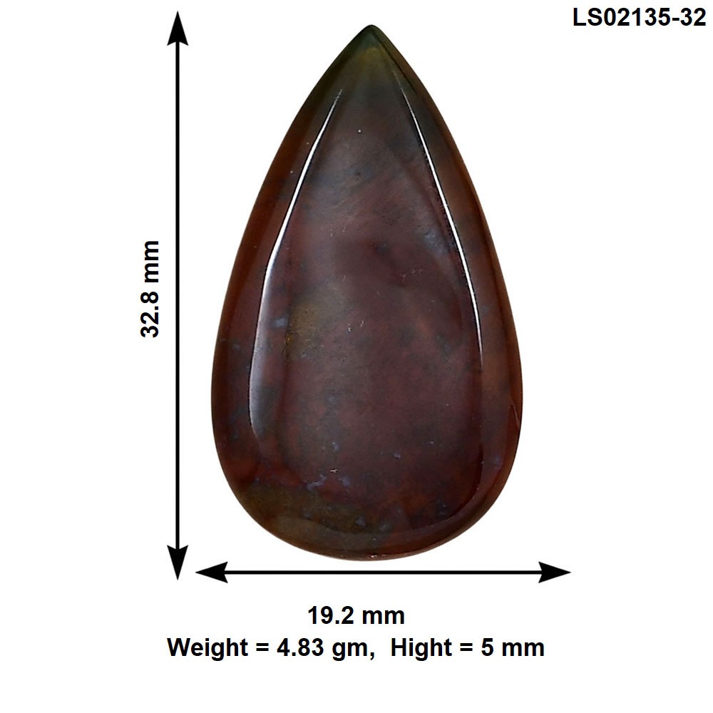 Natural Blood Stone 32.8×19.2×5 mm Pear Shape Polished Loose Gemstone LS02135-32