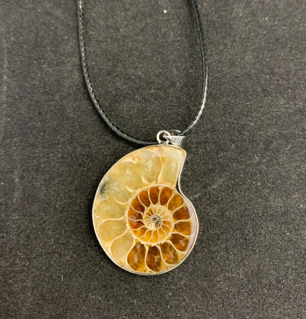 Starborn Ammonite Fossil Pendant Cord Necklace