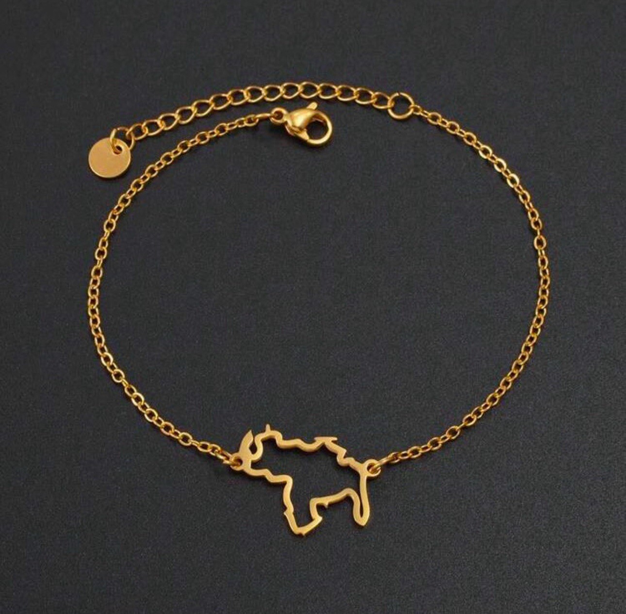 1 Pieza Pulsera Acero Inoxidable Con Mapa De Venezuela De 18 Cm+5 Cm Para Mujer