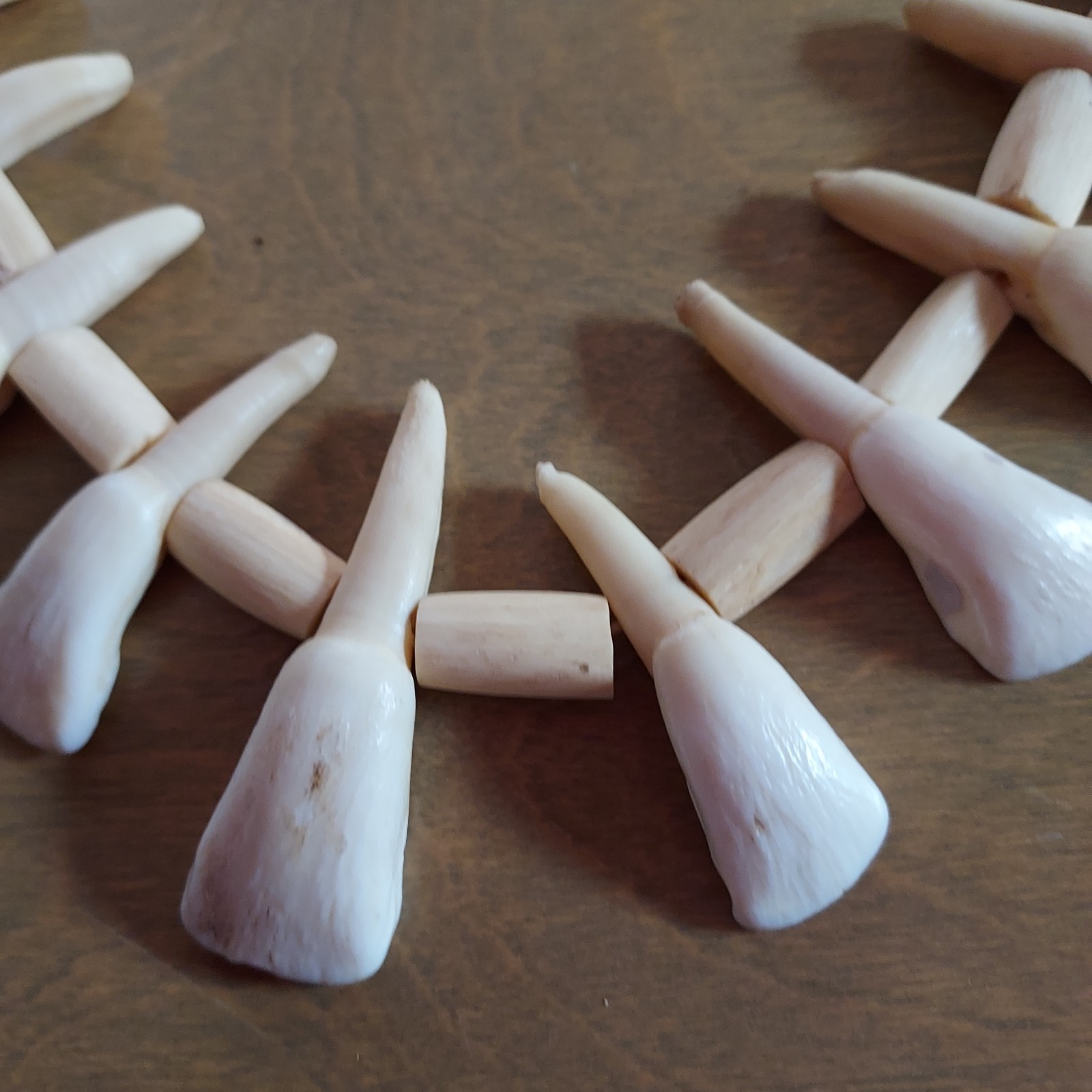 REAL Natural Vintage Tribal Ethnic Necklace Tooth / 20 TEETH + Animal BONES