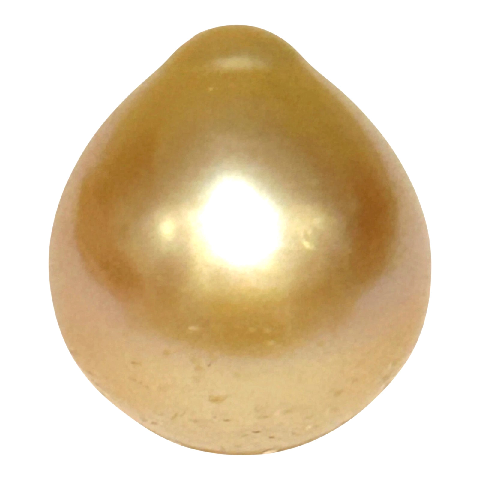 Smooth 13.8 x 15.4mm 19.5 Carat Natural Rich Golden Philippines South Sea Pearl