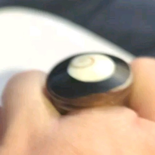 Unique Chunky Black White Brown Spiral Seashell Ring Size 6-61/2