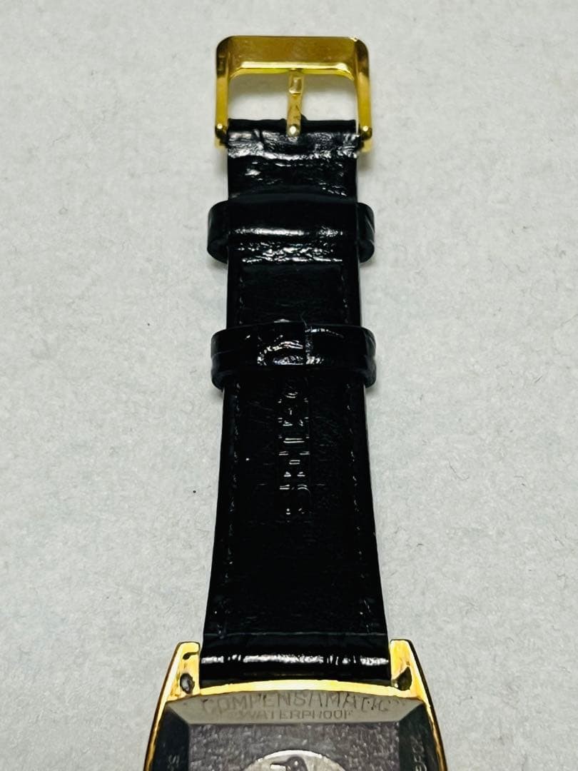 NIVADA Date Automatic 21-Jewel Gold Tone 30mm Black SEIKO Strap Watch 12H Power