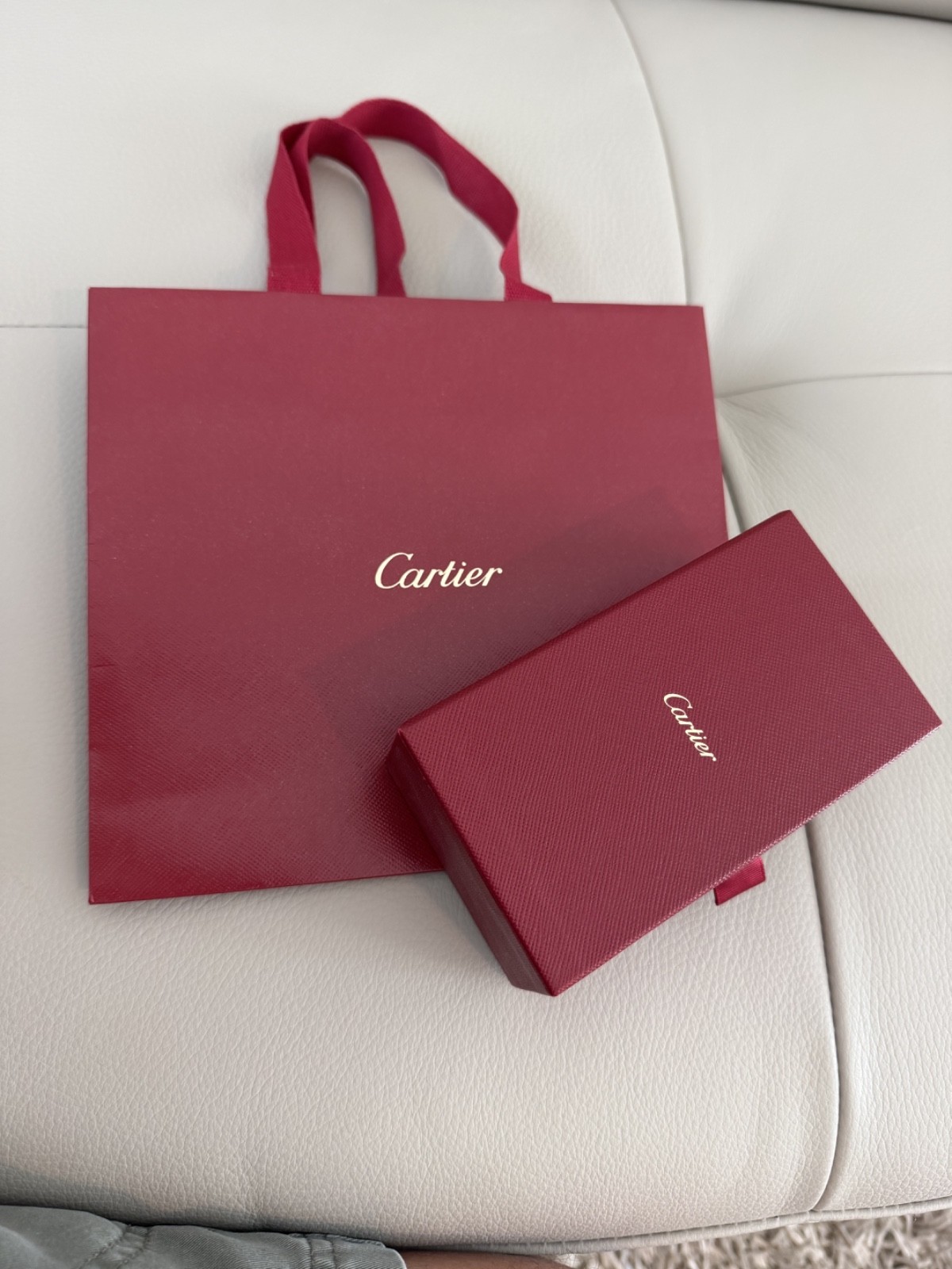CARTIER New Authentic Jewelry Cleaning Kit Set