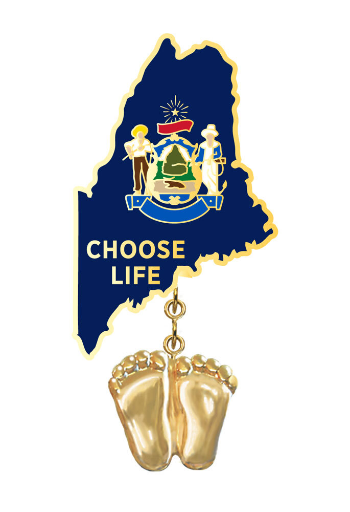 Precious Feet, 14K Gold Plated, Maine Flag Jewelry, Lapel Pin