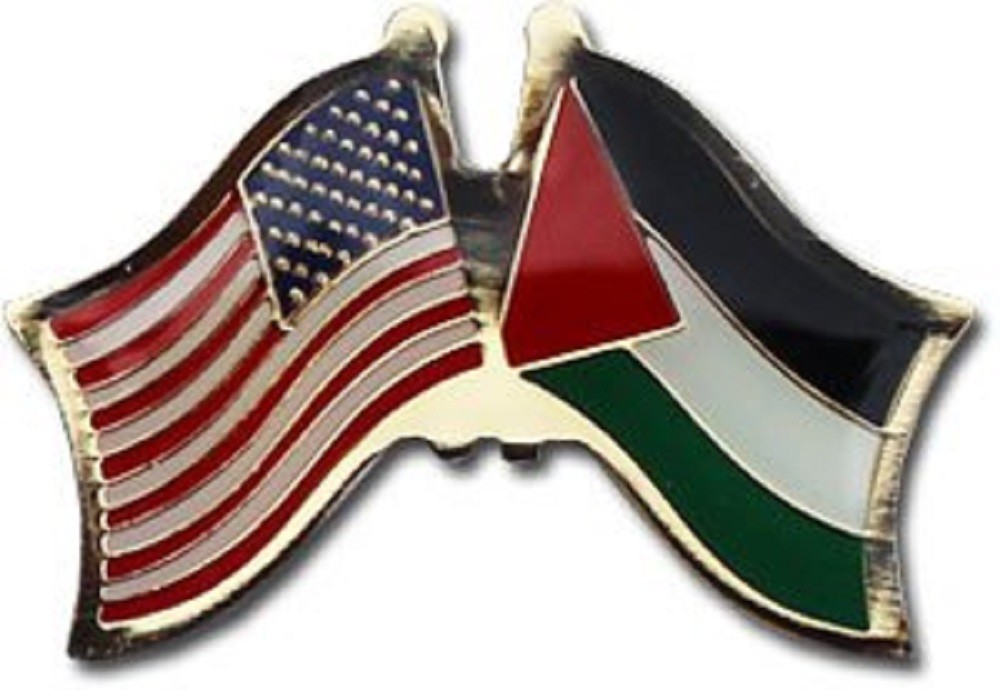 USA American Palestine Friendship Flag Enamel Lapel Pin Clutch Back NIP P09783