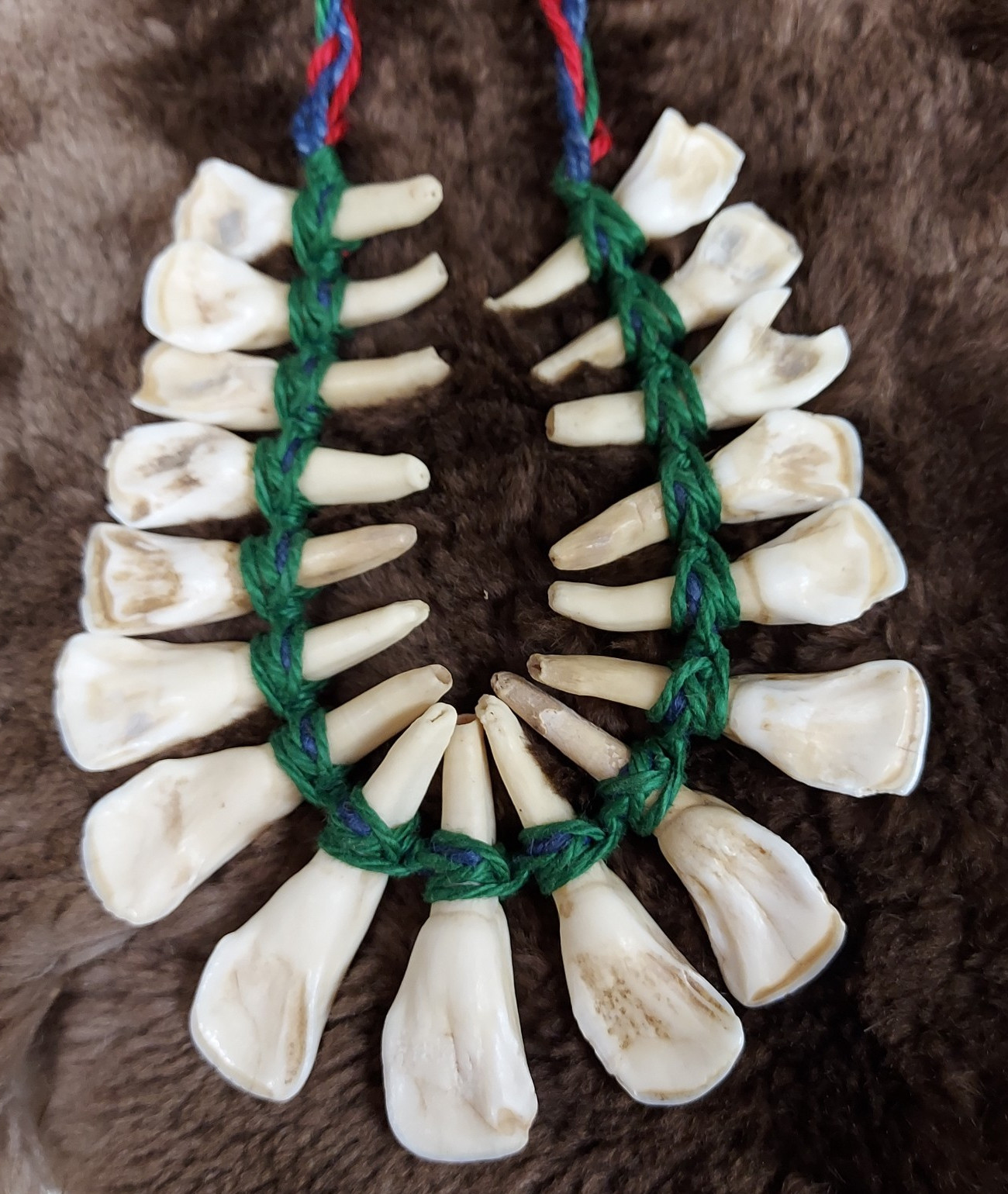 REAL Natural Vintage Tribal Ethnic Necklace Tooth / Unknown Animal TEETH