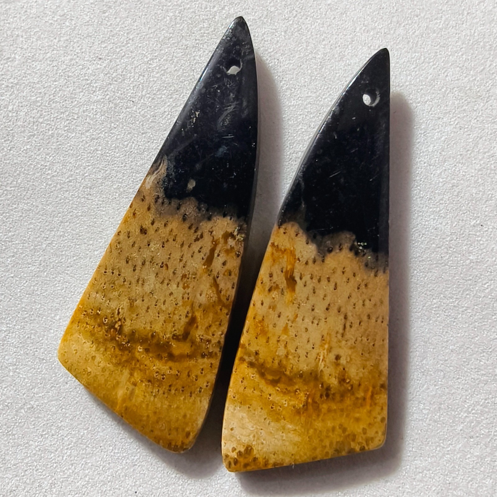 25 Cts Natural Fossilized Palm Root Drilled Pair Cabochon Gemstone 37.3X13.7 MM