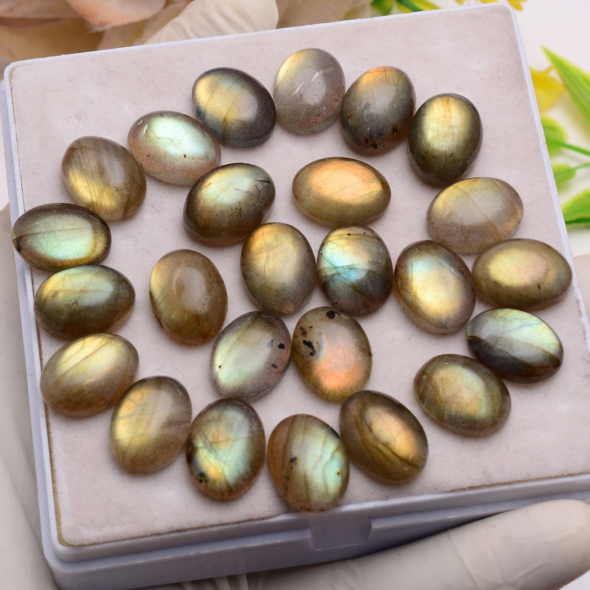12 Pcs Natural Labradorite Flashy 16mmx12mm Oval Cabochon Loose Gemstones Lot