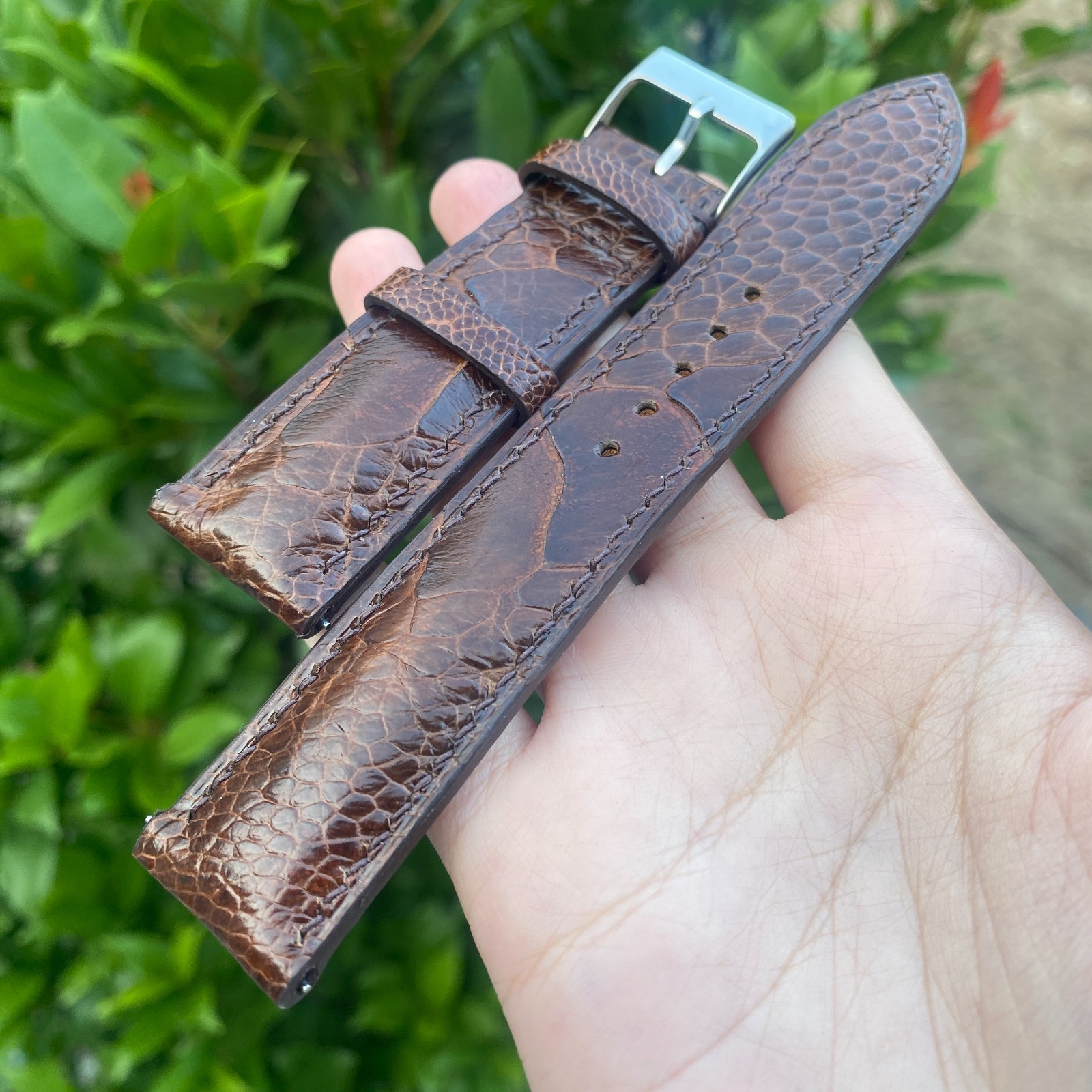 Dark Brown Ostrich Leather Watch Band Customized Watch Strap Silver Buckle