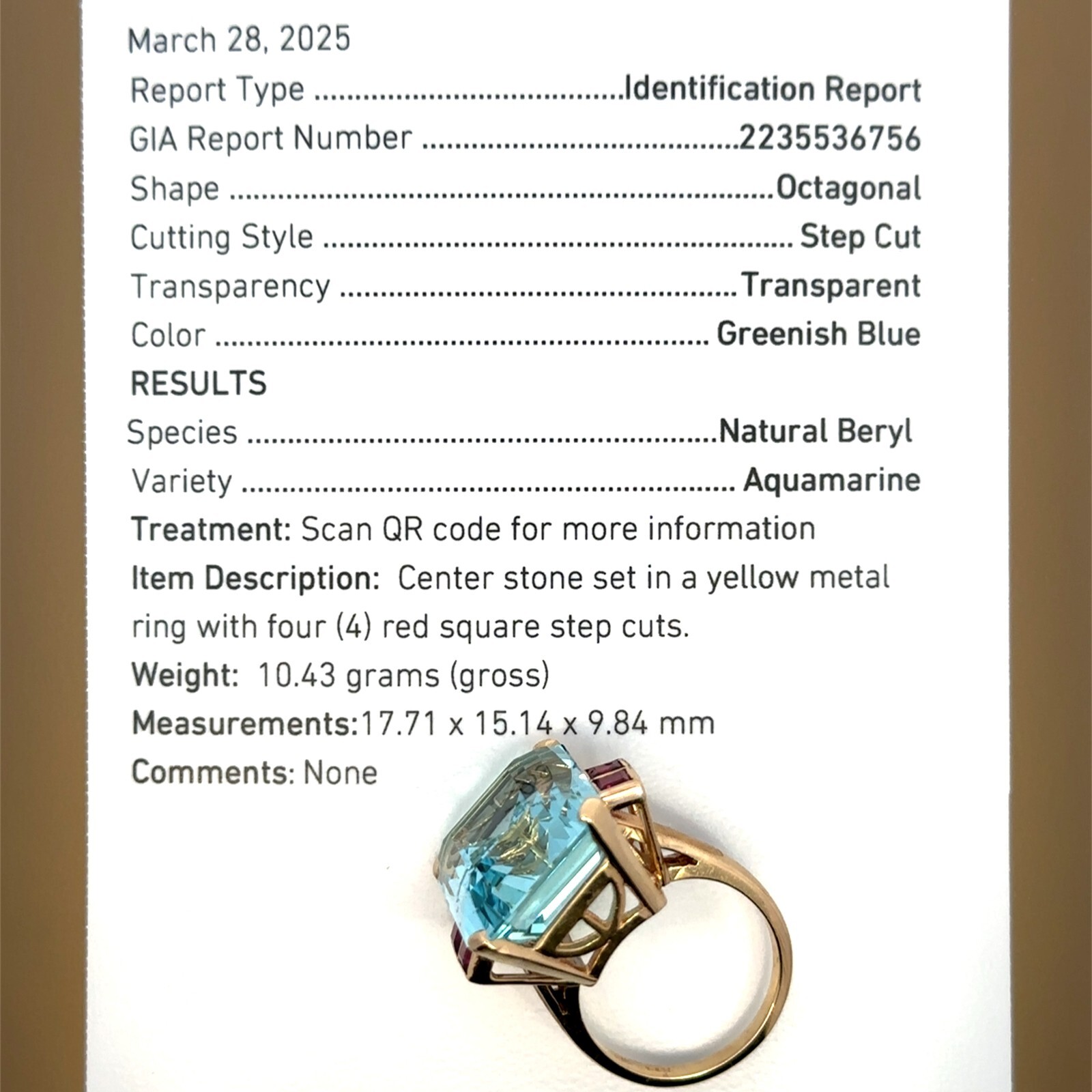 GIA Certified 18.60Cts Fine Quality Aquamarine & Ruby 14K Gold Ring 10.4g G039