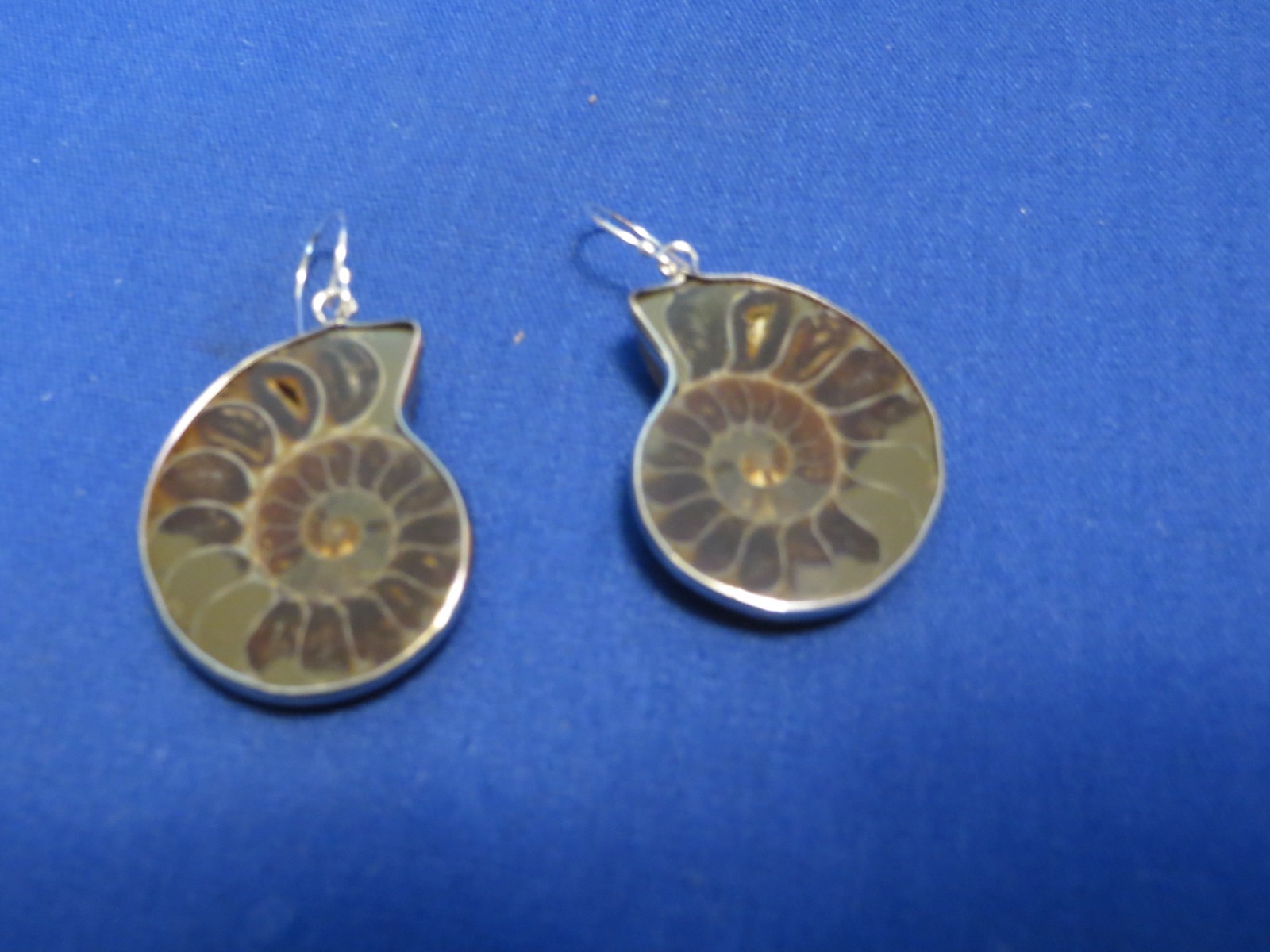 NEW! Natural Cut Polished Madagascar Fossil Ammonite Earrings Sterling Silver