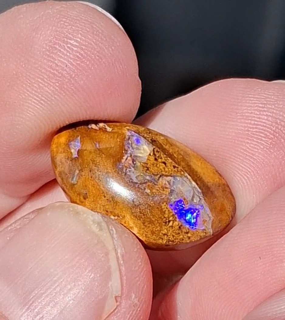 12.5ct Wood replacement Qld boulder opal. Vibrant iridescent blue & purple flash
