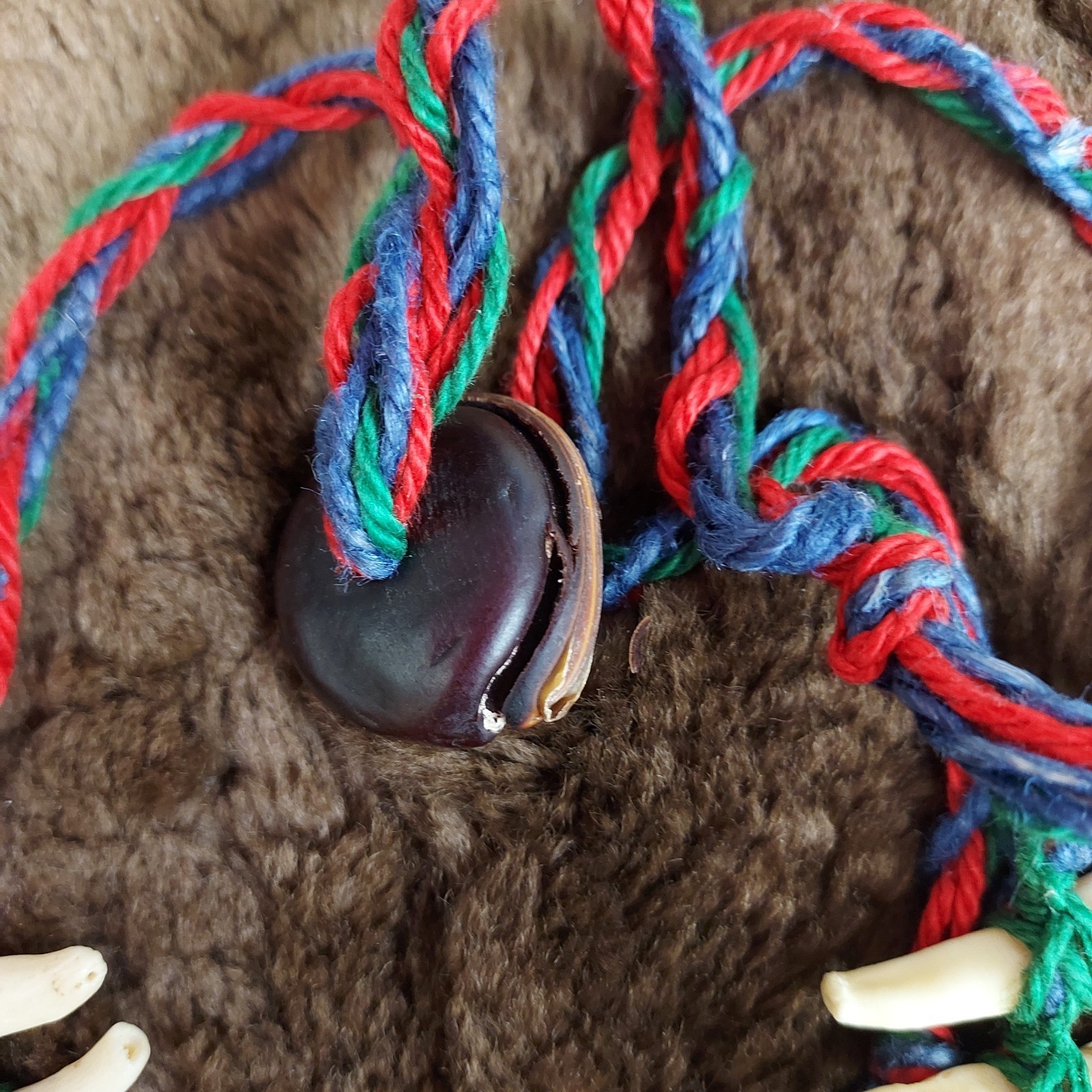 REAL Natural Vintage Tribal Ethnic Necklace Tooth / Unknown Animal TEETH