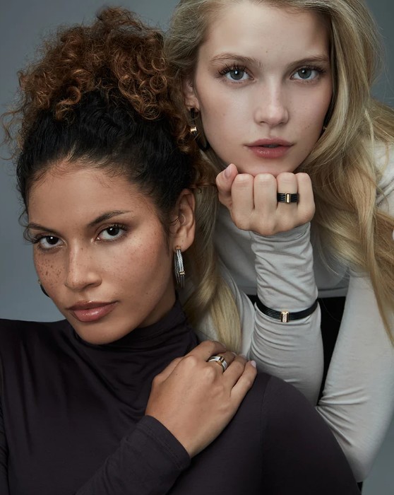 Women’s Double Cable Earrings Connected With Bar In Gold IP With Zirconia