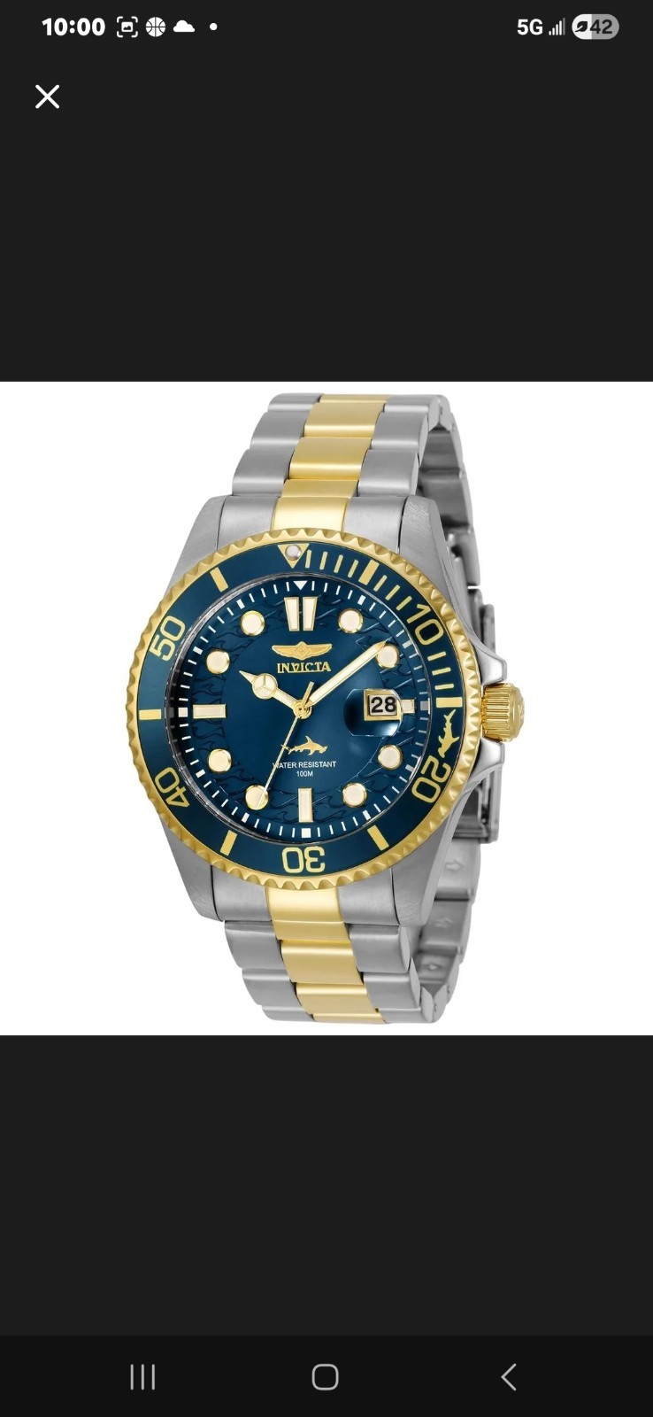 Invicta Pro Diver Blue Men’s Watch -30021
