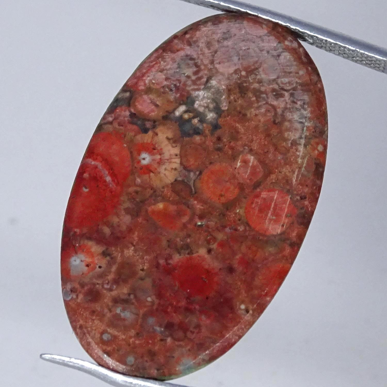 23.10Cts 100% Natural Orbicular Jasper Oval Cabochon Gemstone 19X32X4MM