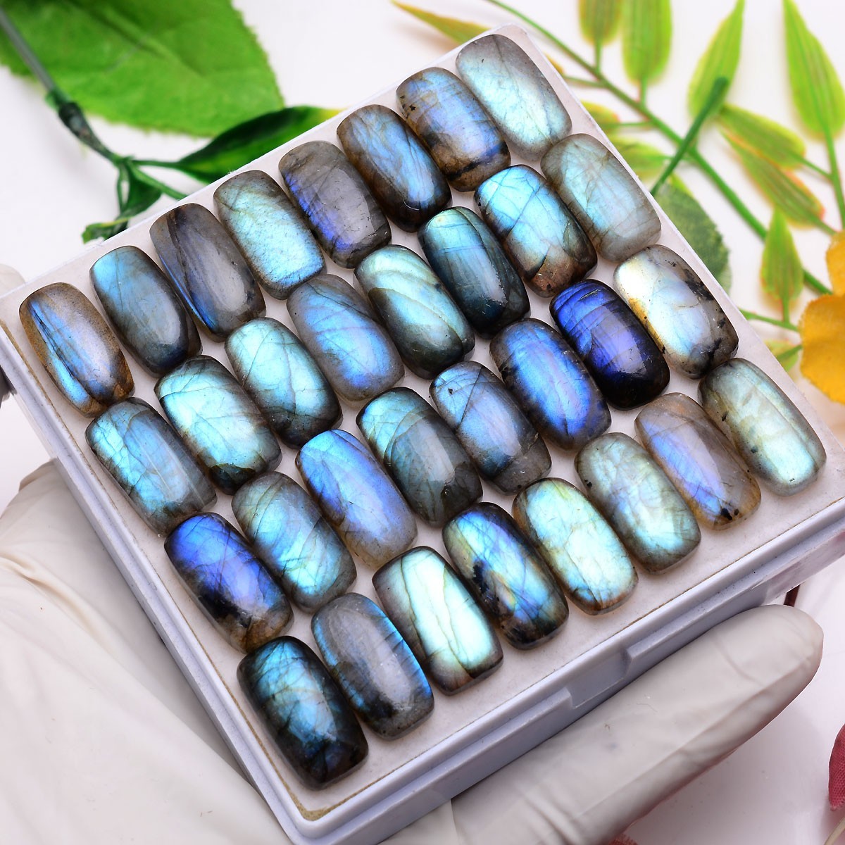 Set Of 12 Pcs Natural Labradorite 19mmx10mm Cushion Cabochon Loose Gemstones Lot
