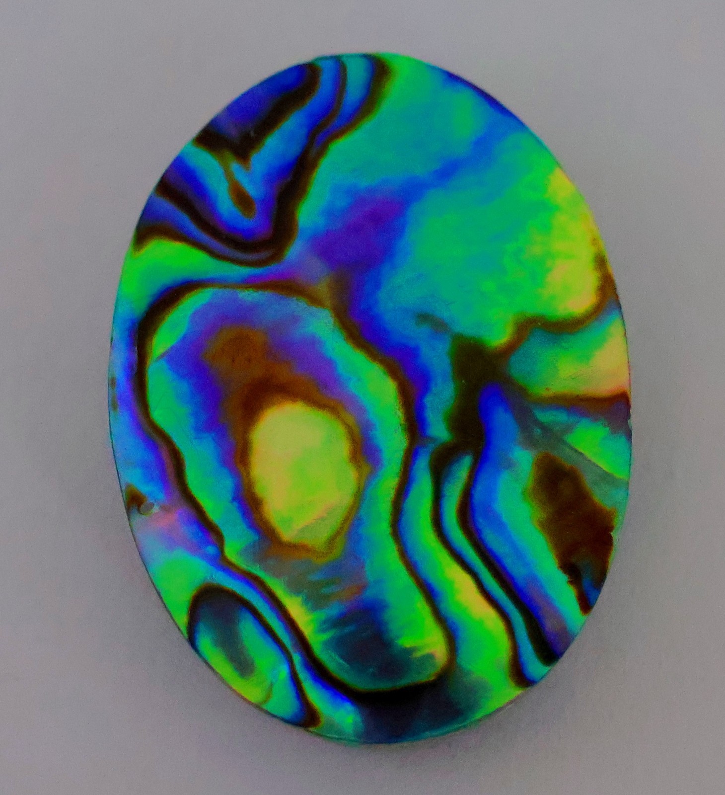 31 Ct 5X21X28 mm Natural Multi Fire Abalone Shell Oval Cabochon Gemstone KQ-181
