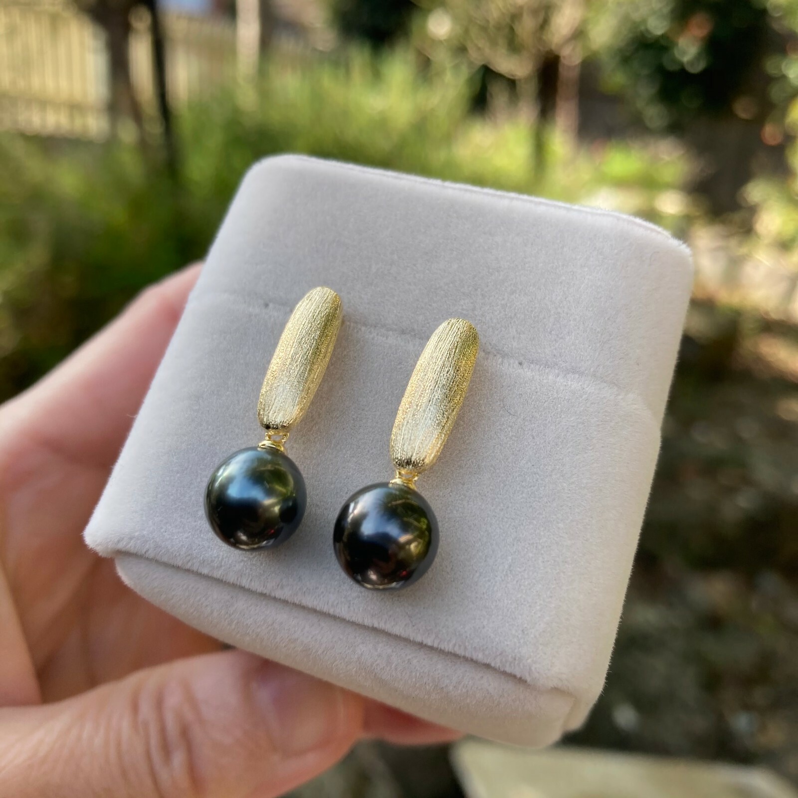 8.5~9mm Black Tahitian Pearl sterling Silver Gold coated 26mm Earring Dangle 184