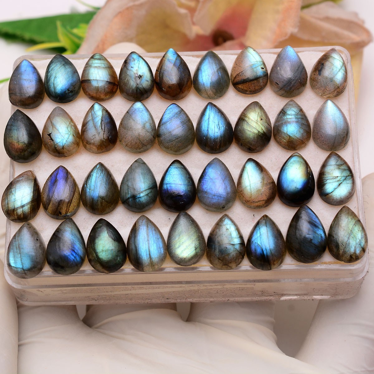 37 Pcs Natural Labradorite Blue Fire 13mmx9mm Untreated Flashy Loose Gemstones