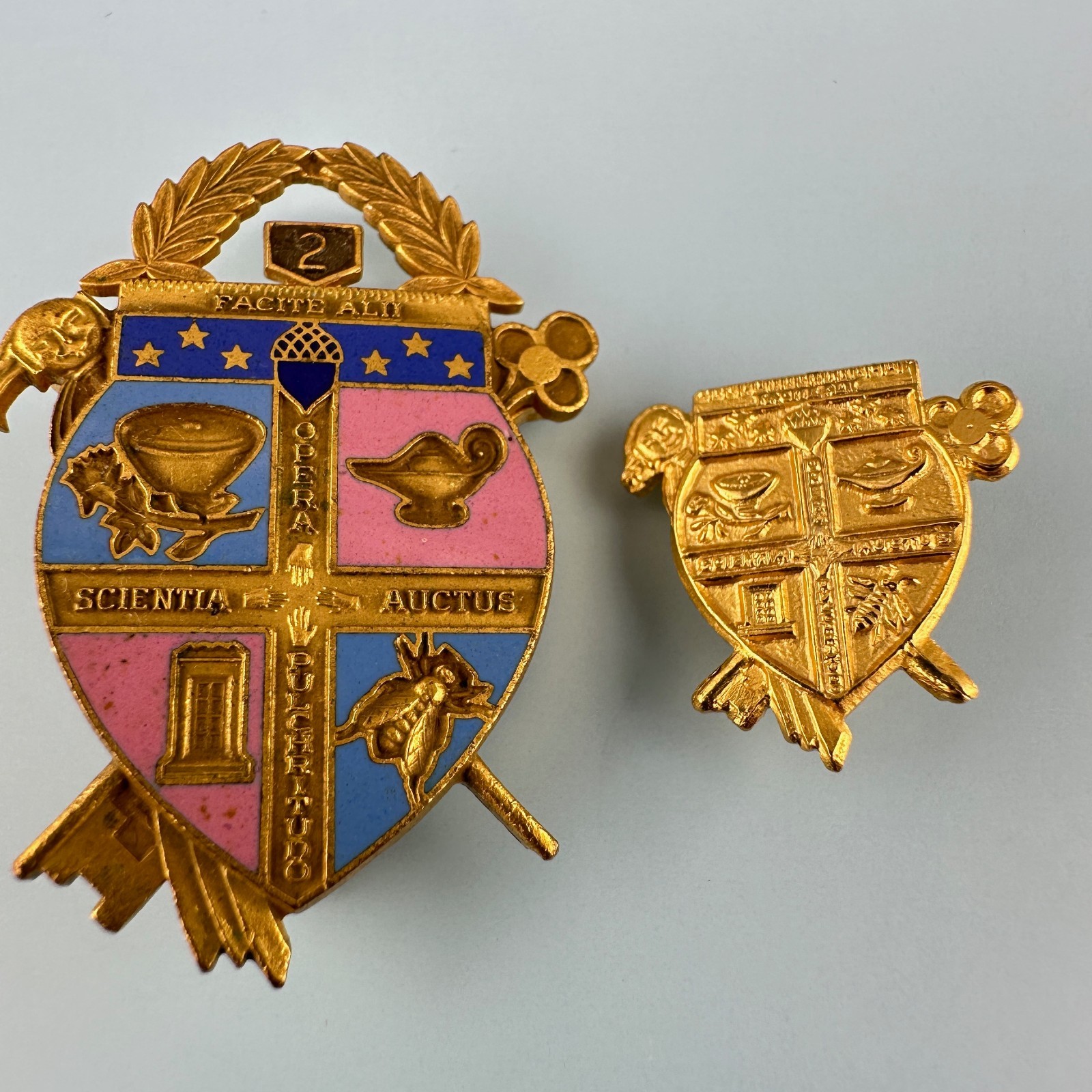 Vintage Coat of Arms Pin Lot Gold Tone Facital Scientia Auctus Opera Pulchritudo
