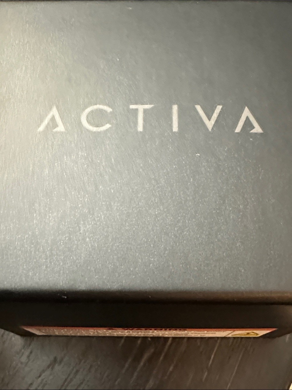 Activa Silver Stainless Steel Dual Time Watch with Light Blue Dial