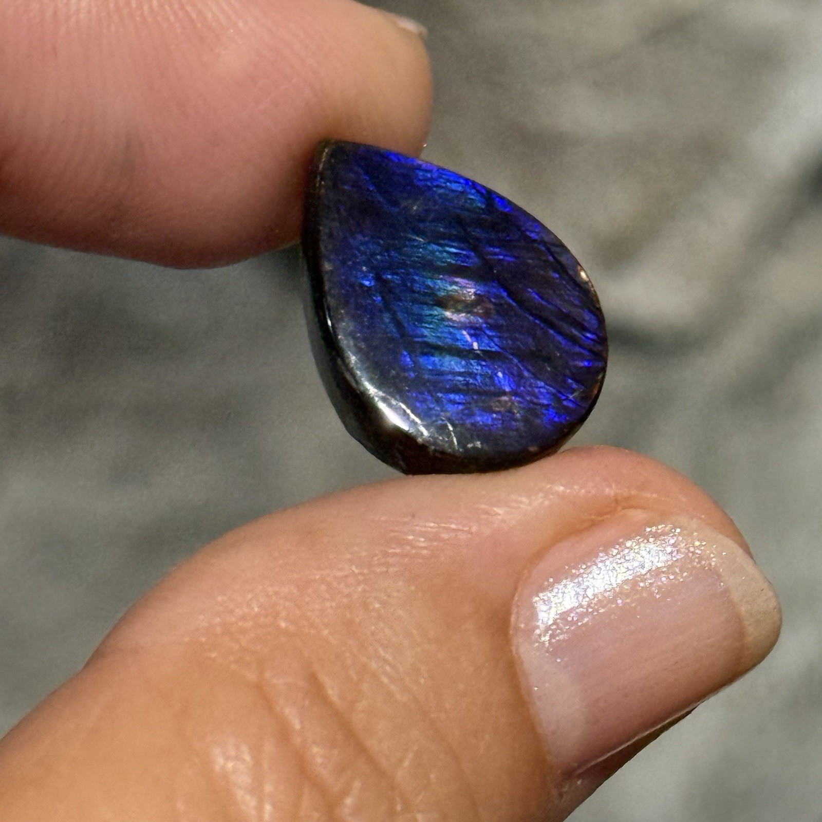 10.6ct 18x13x5mm Genuine Purple Ammolite Teardrop Cabochon Gem