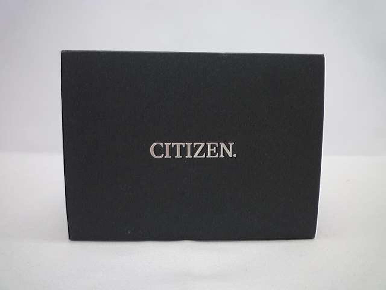 CITIZEN E168-003FR01 watch
