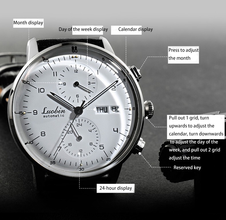 Loubin Mechanical Automatic Men’s Watch Stainless Steel 5ATM Sapphire Luminous
