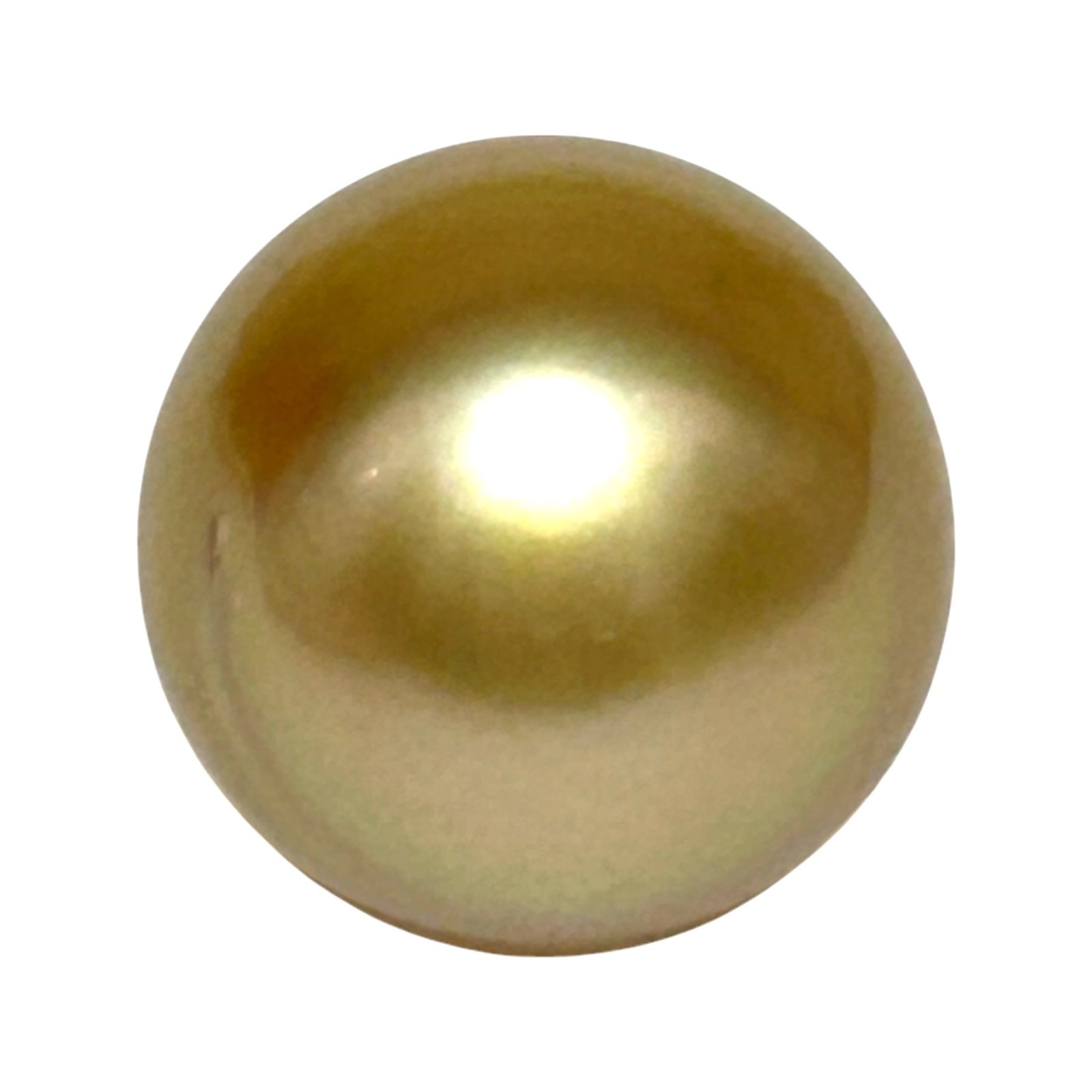 Elegant 26.4 Carat 14.8 x 17.4mm South Sea Pearl Golden Oval Radiant Luster