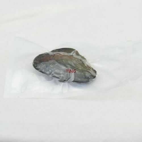 1/5/10/25/100pcs DIY Individually Wrapped Oysters with Large Pearls Gift 7-8MM