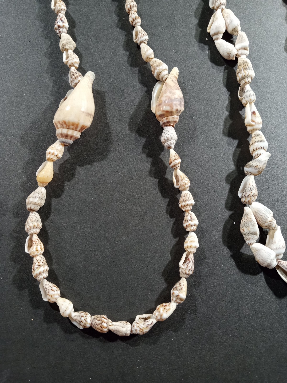 Lot Of 14 Seashell Necklaces 30-34in Long Mixed Earthy Tones Beach Vacation Vibe