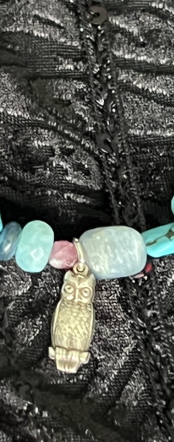 HeyHey Be Wise Gemstone Necklace Sterling Owl Leather Kyanite Turquoise Lapis