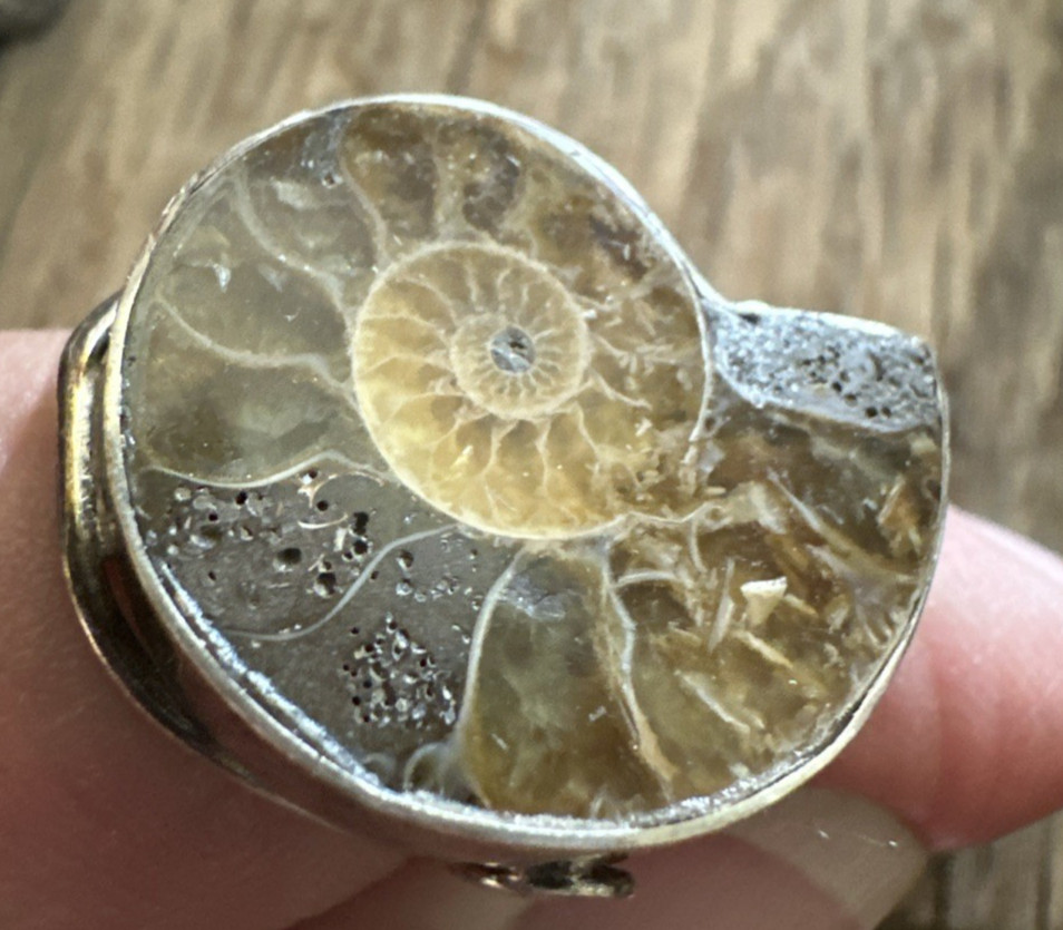 Sterling Silver Ammonite Natural Fossil Ring Size 6
