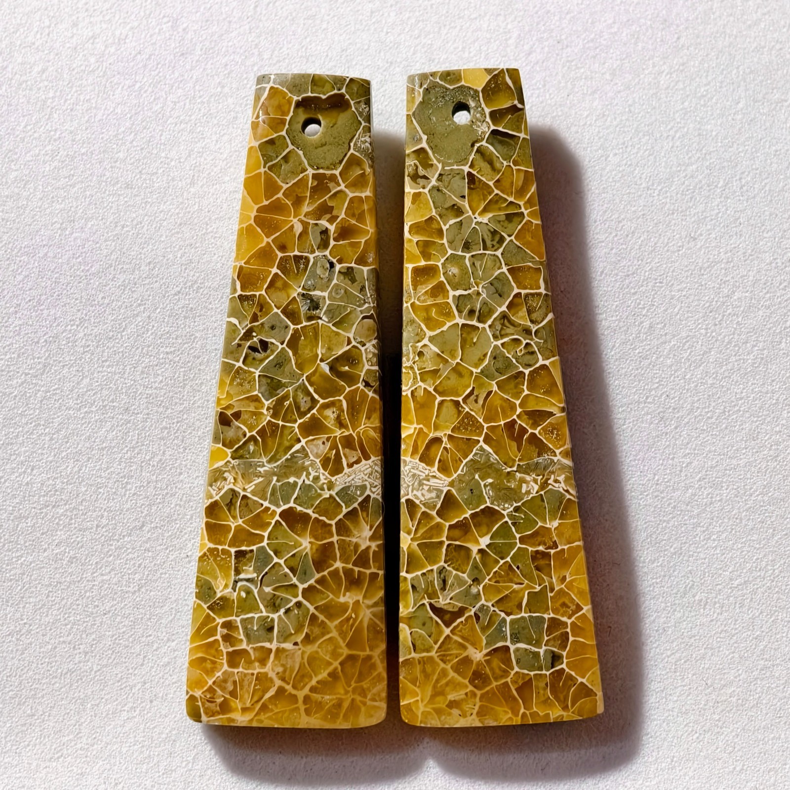 61 Cts Natural Fossilized Coral Drilled Pair Cabochon Gemstone 45.4×13.9 MM