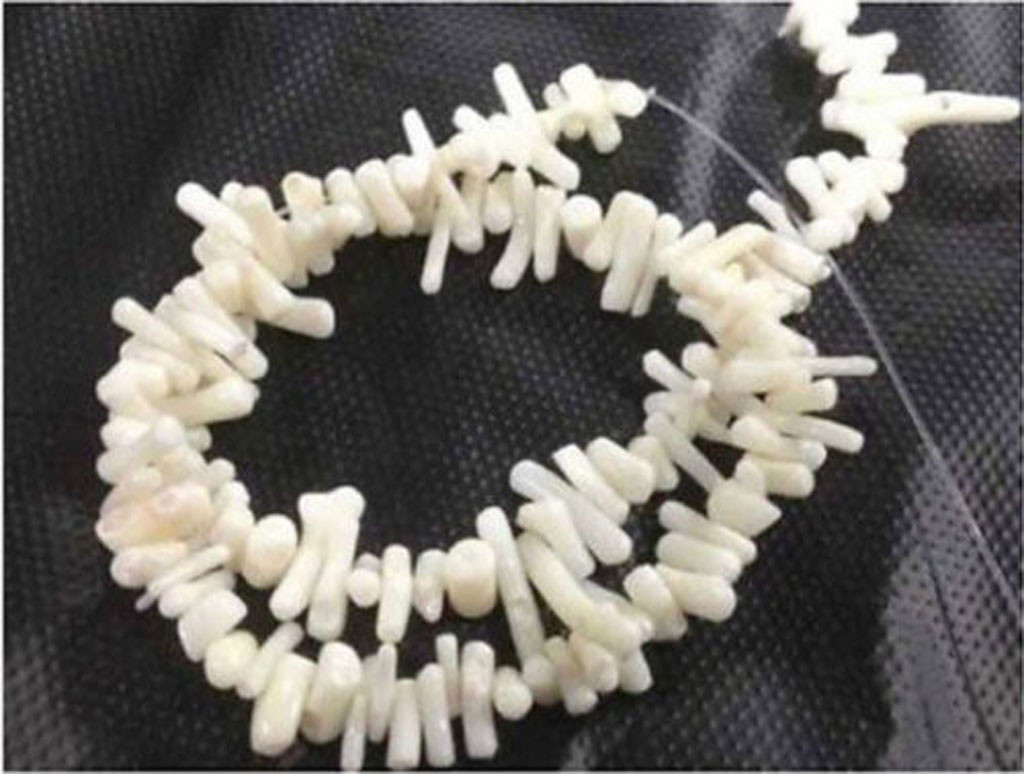 Natural 4x10mm White Coral Gemstone Chip Loose Beads 15” Strand