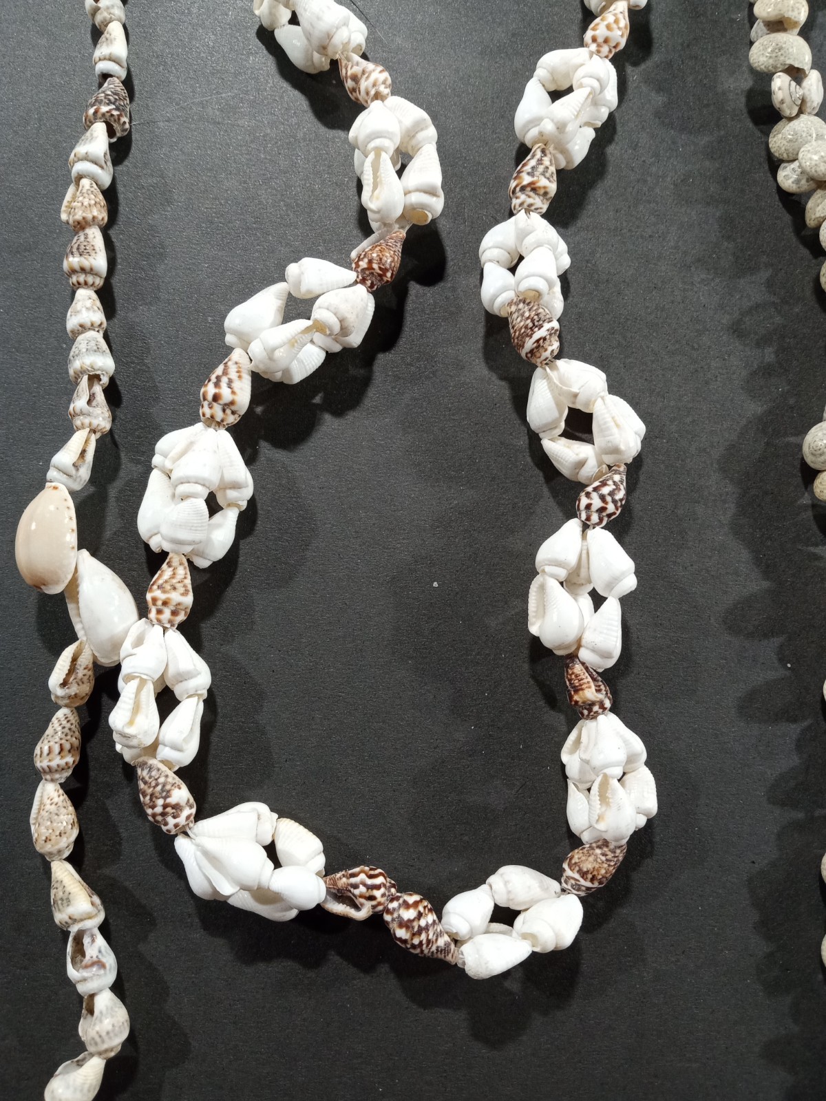 Lot Of 14 Seashell Necklaces 30-34in Long Mixed Earthy Tones Beach Vacation Vibe
