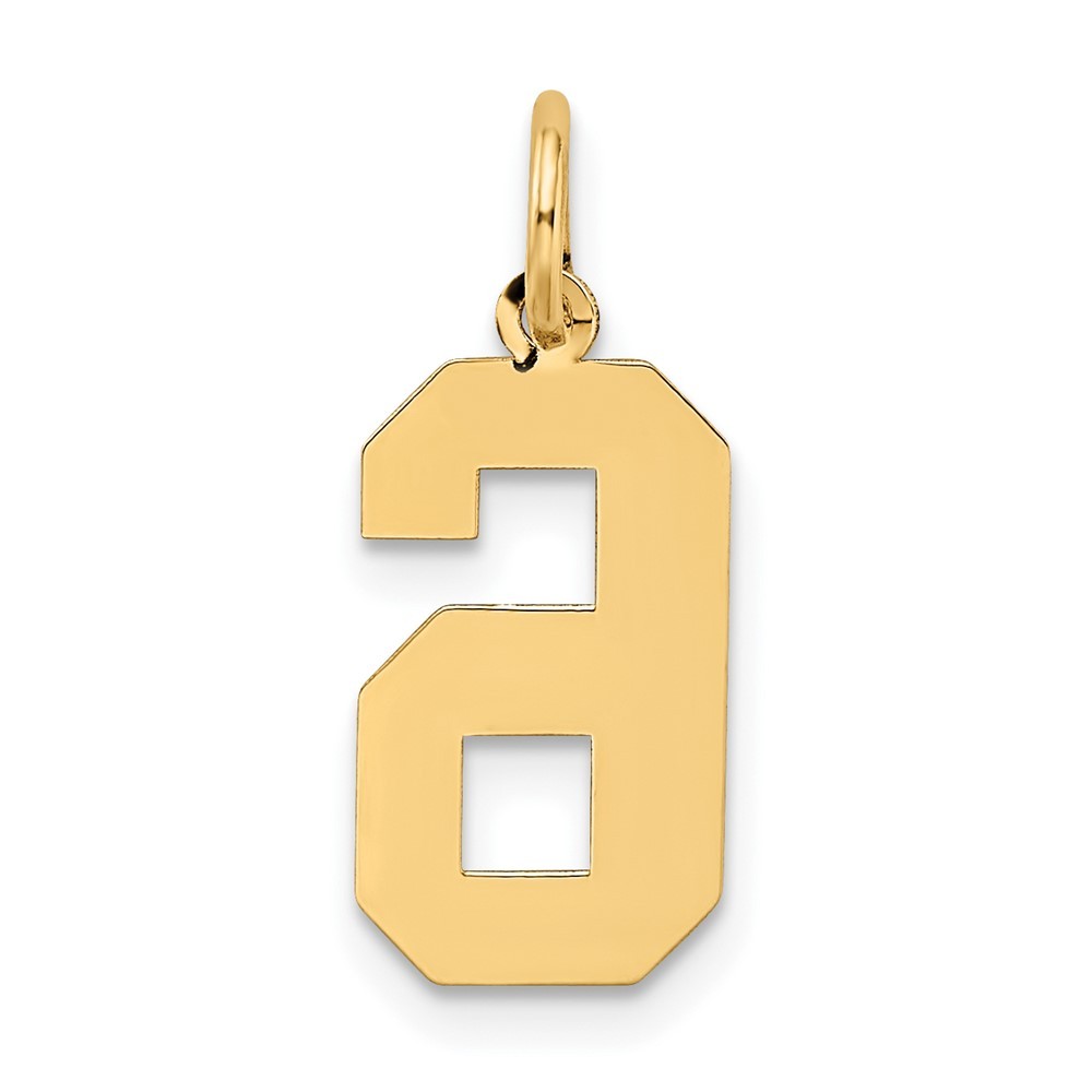 10k Yellow Gold Medium Satin Number 6 Charm Pendant 0.27g