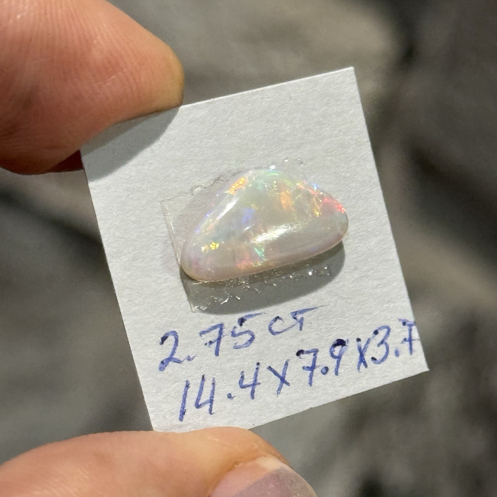 2.75ct 14.4×7.9×3.7mm Lightning Ridge Australian Crystal Opal Cabochon Gem